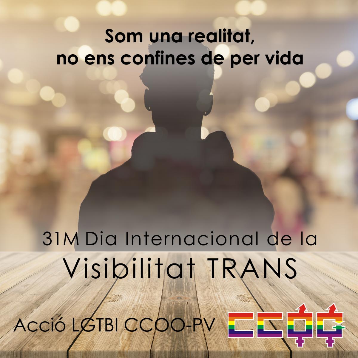 31M Dia Internacional de la Visibilidad TRANS