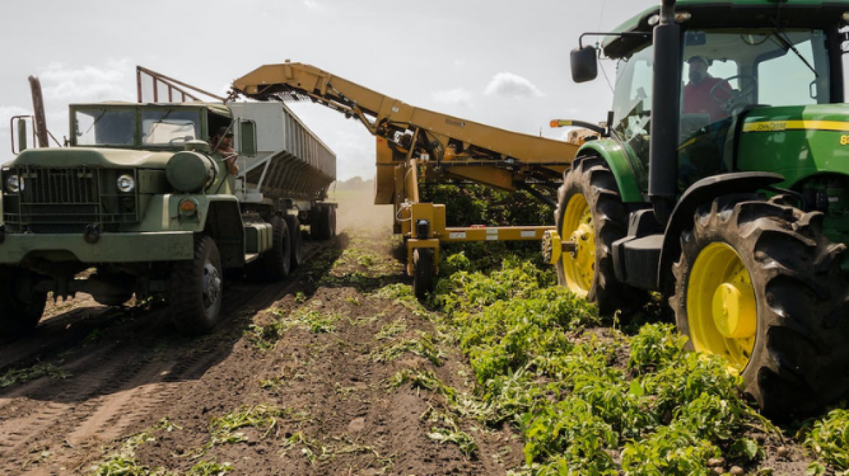 campo agrario