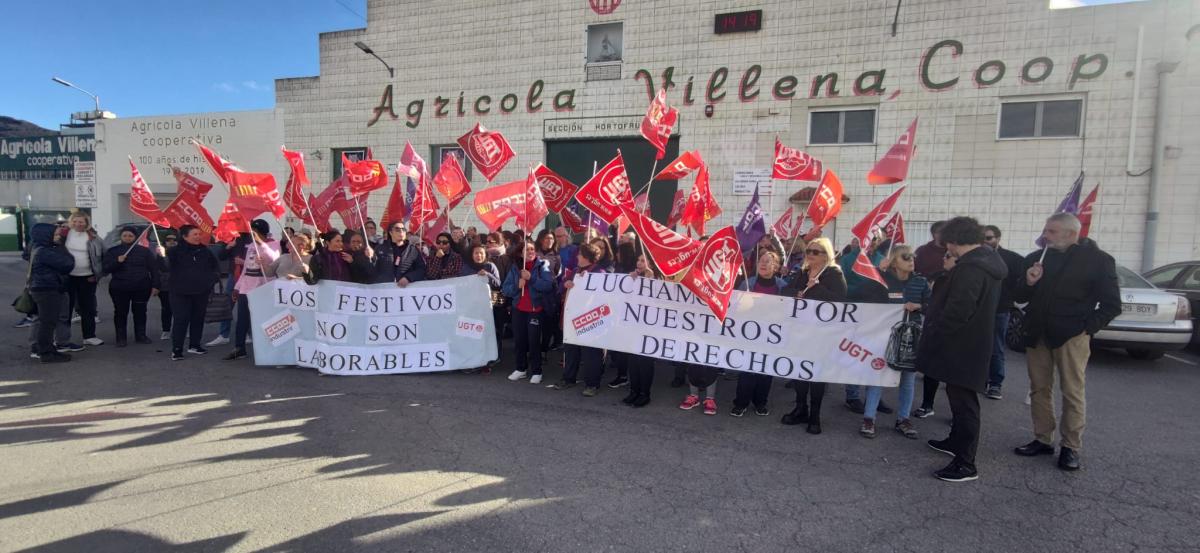 Concentracin de la plantilla de Agrcola Villena.