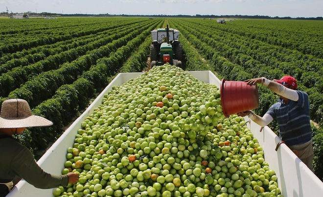Empleo agrario