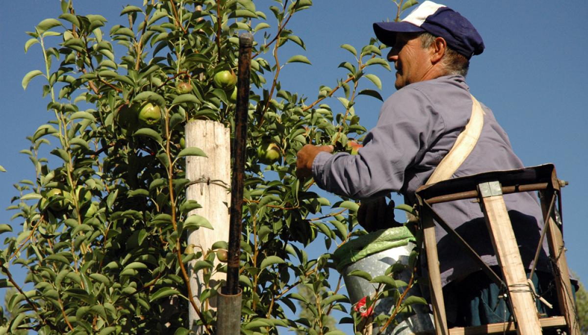 Gran parte del paro se concentra en Andaluca