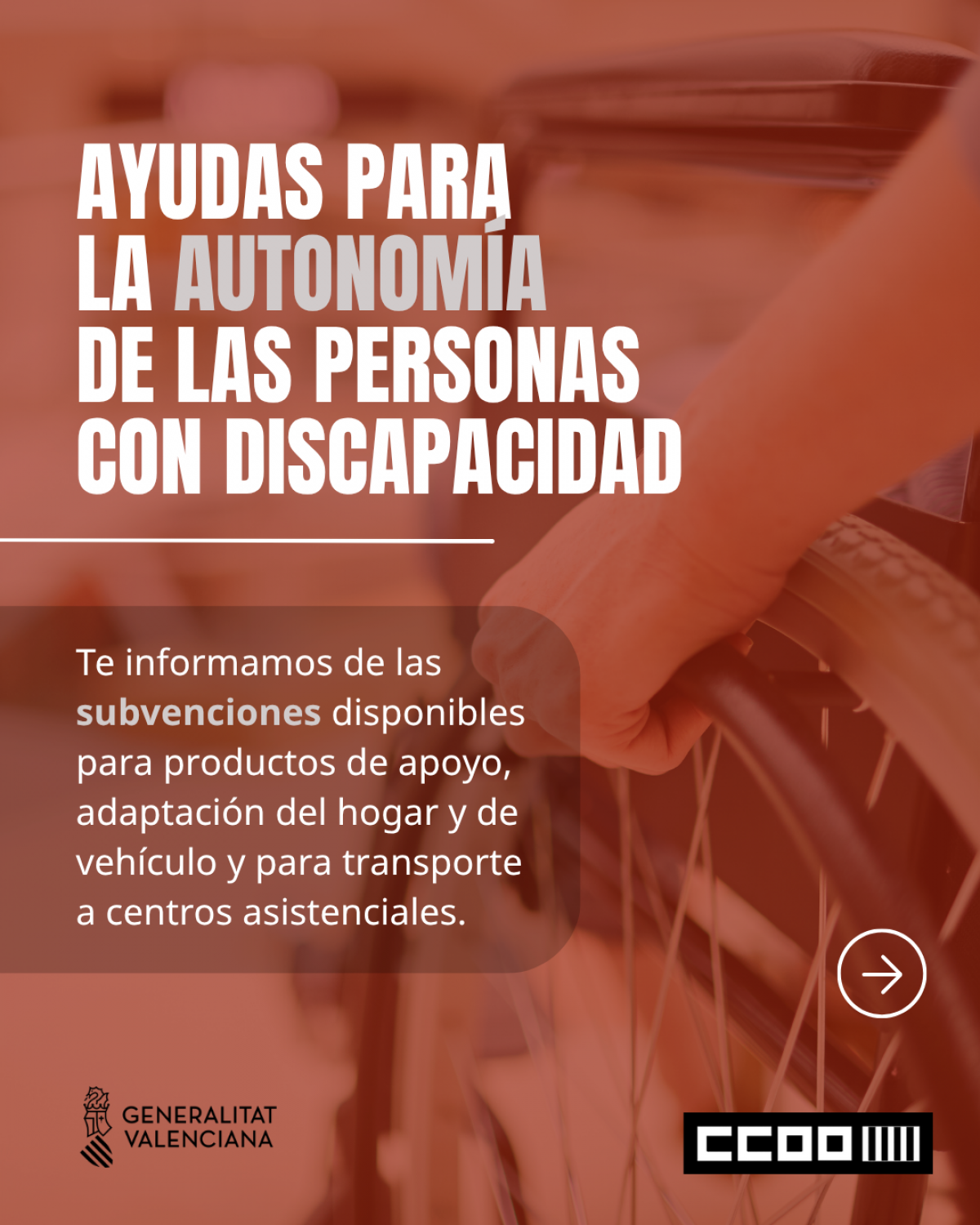 Ayudas para la promoción de la autonomía personal de las personas con discapacidad.