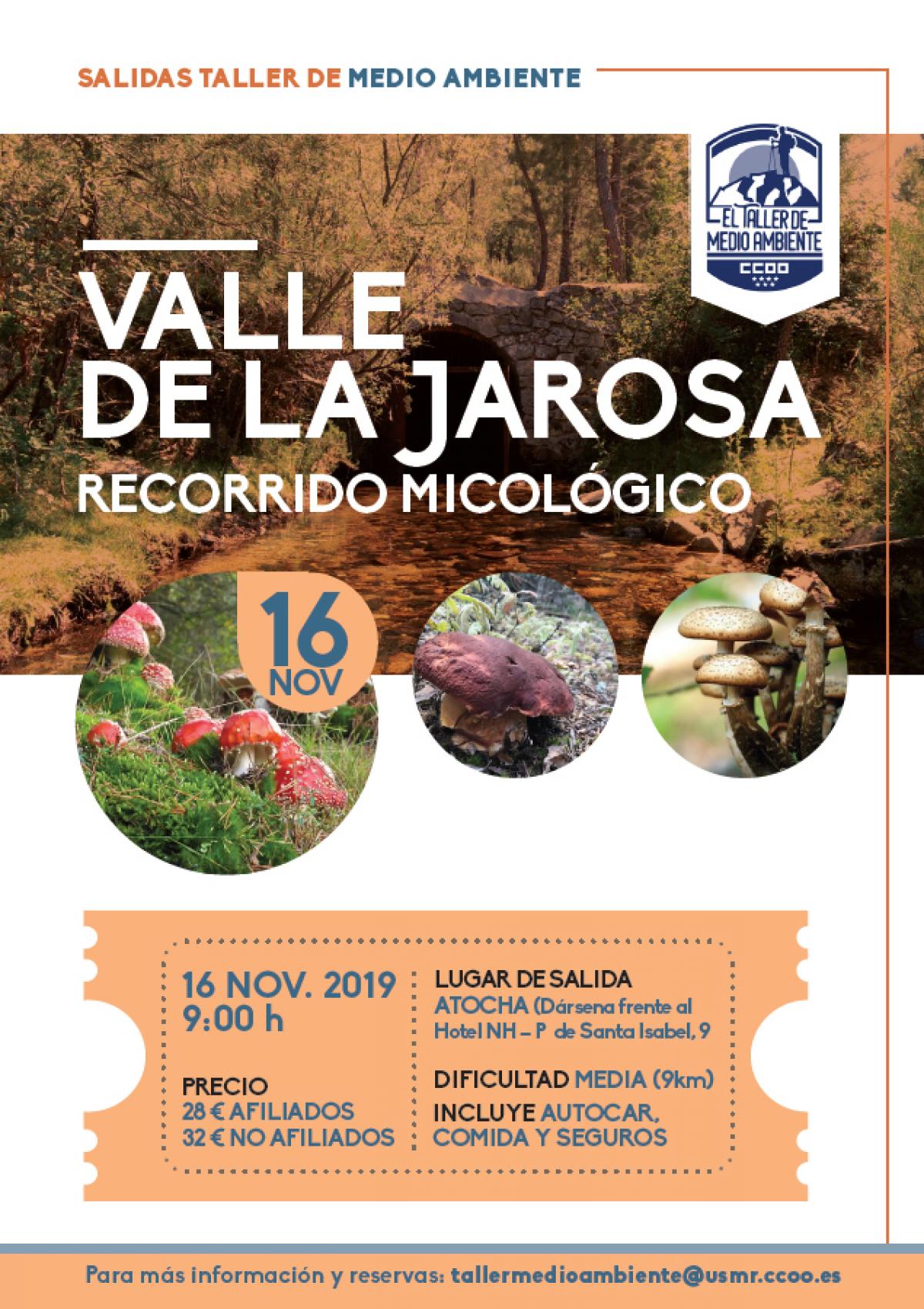Taller de Medio Ambiente: Valle de la jarosa. Recorrido micolgico