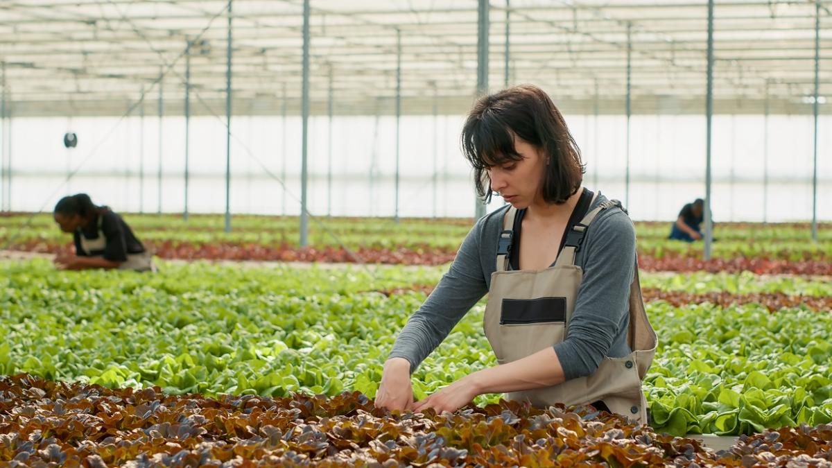 267.815 mujeres estn afiliadas al Sistema Especial Agrario