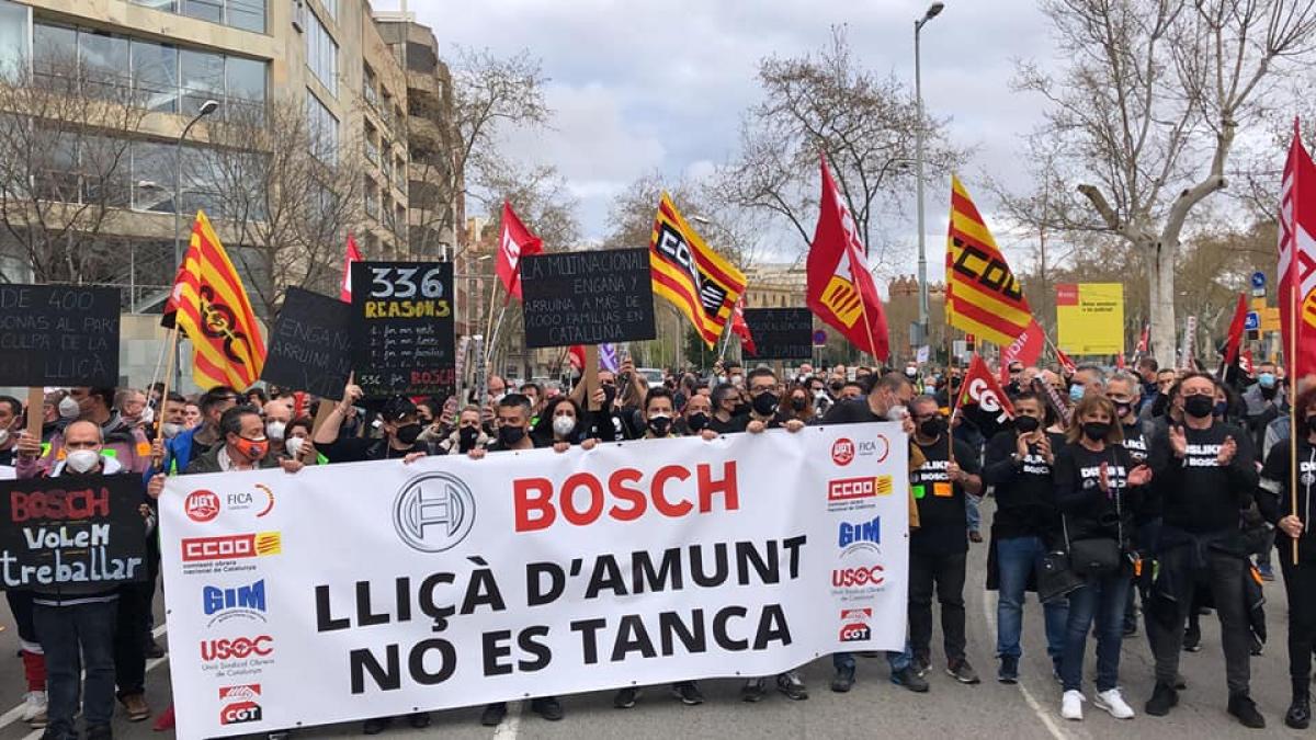 concentracion Bosch