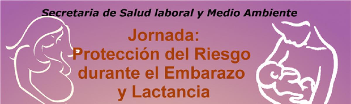 Detalle del cartel sobre Proteccin del riesgo durante el embarazo y la lactancia