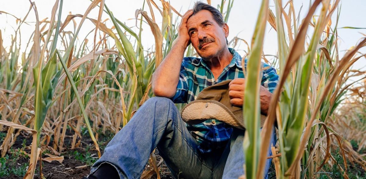 Urge extremar las medidas de precaucin ante las olas de calor