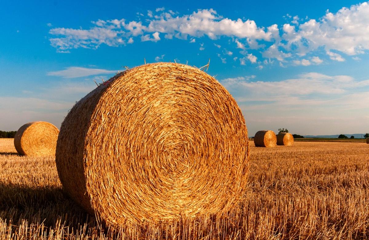 Jornadas sector Agroalimentario Extremadura