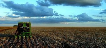 Desempleo agrario