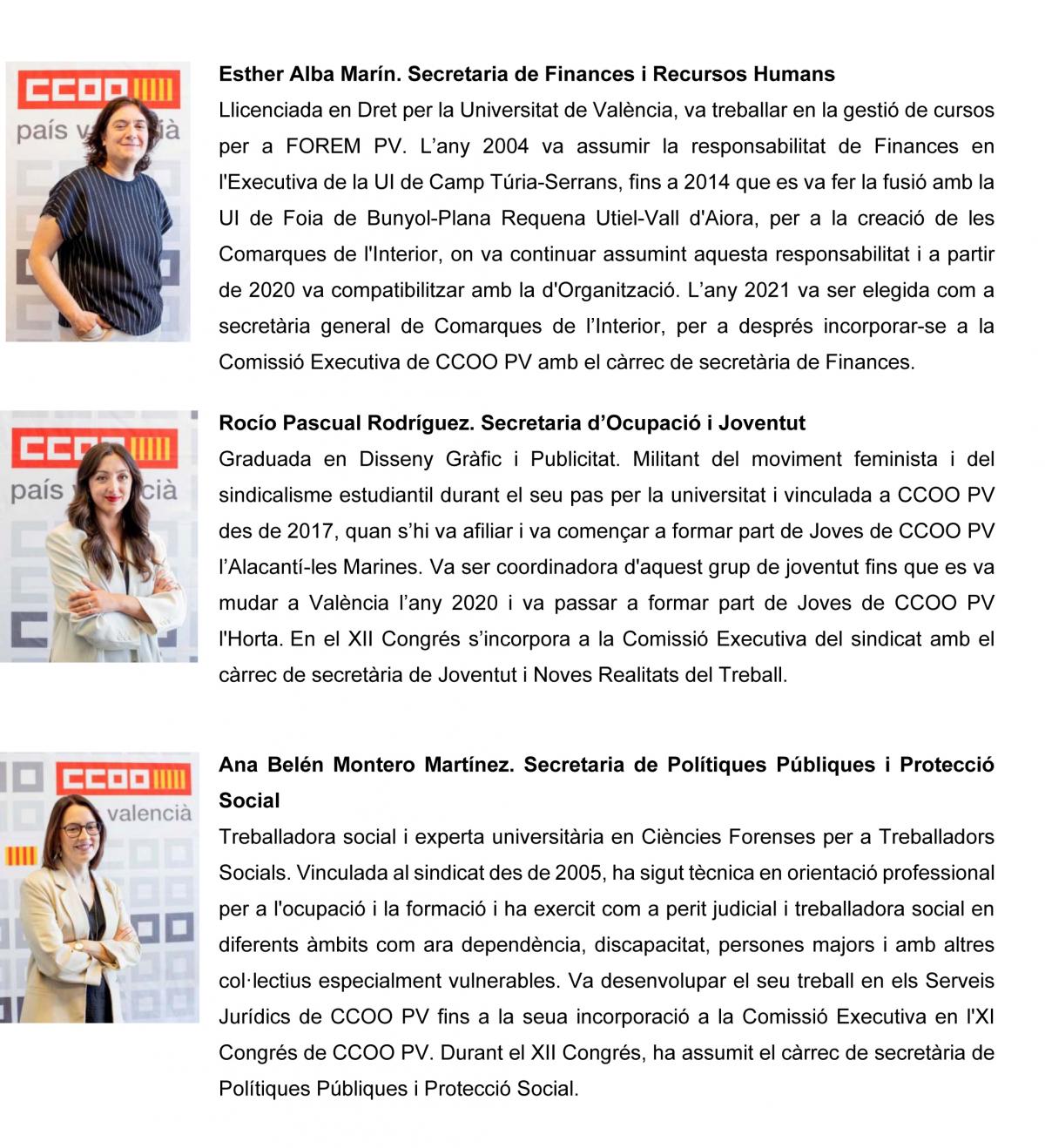 Comissi Executiva CCOO PV