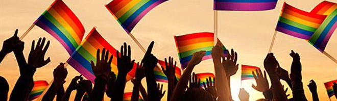 LGTBi Participaci i assessorament