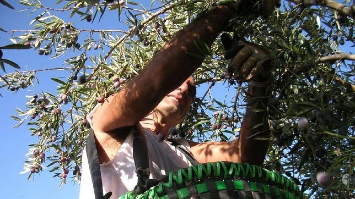 En febrero el paro aument en ocho comunidades autnomas