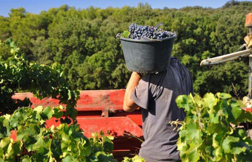 En enero se registraron un 2,42% ms de desempleados y desempleadas en el sector agrario