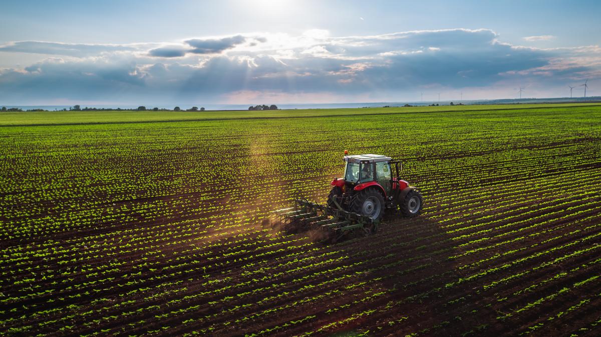 Grupo de trabajo agrario
