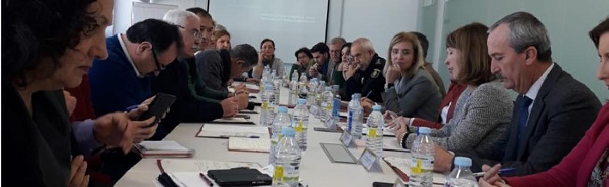 Reunin de la Comisin de Flujos Migratorios de Huelva
