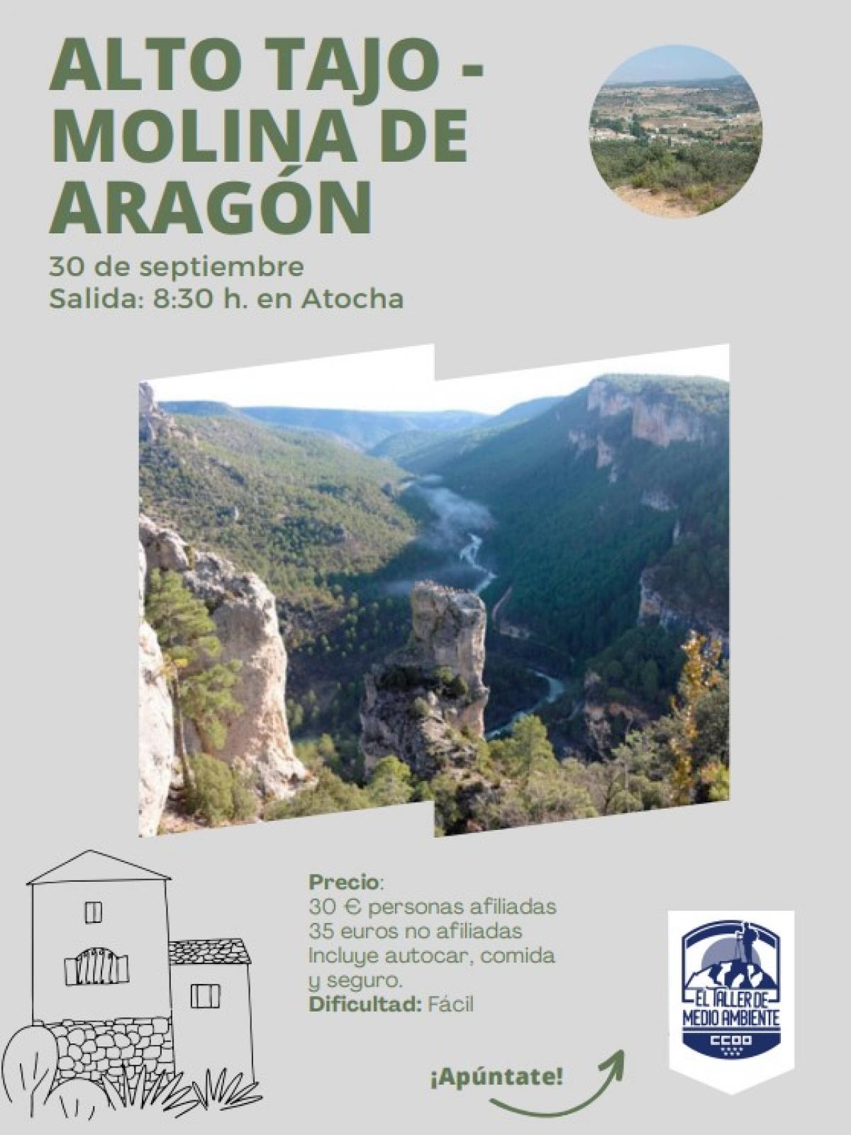 Salida del Taller de Medio Ambiente: Alto Tajo