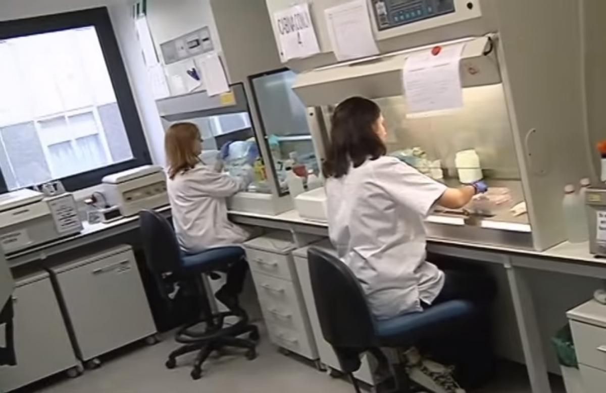 Investigadoras de la Fundacin de Investigacin Biomdica de La Paz