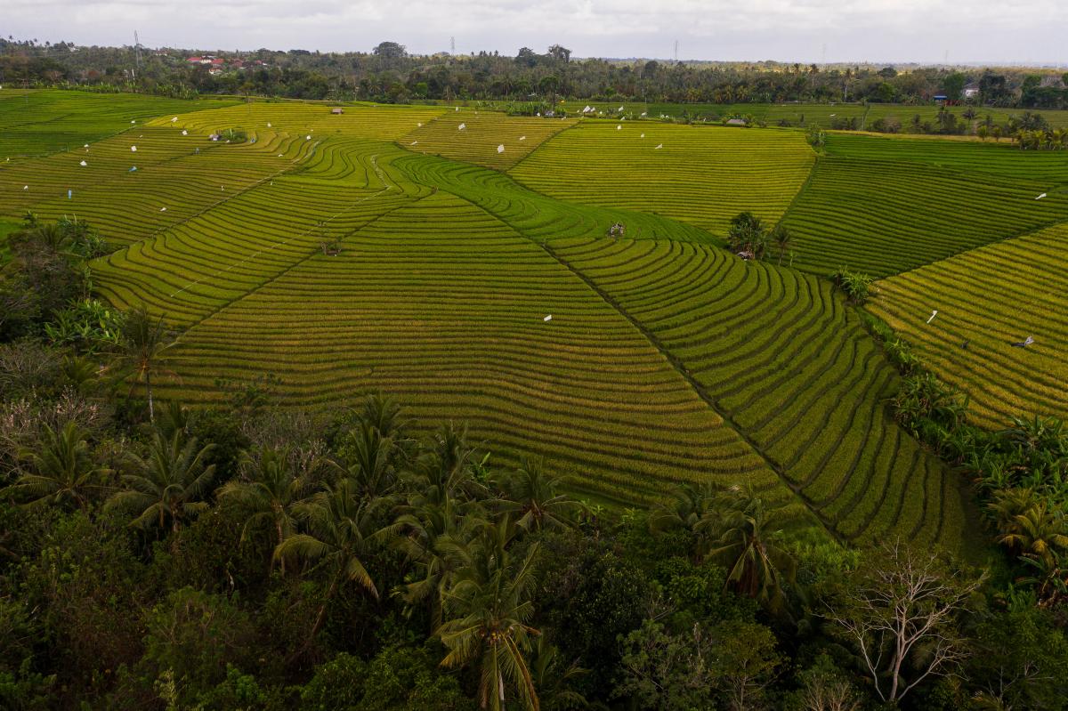 En el sector agrario la reduccin del desempleo agrario ha sido del 18,7% respecto a hace un ao (imagen de Pexels)