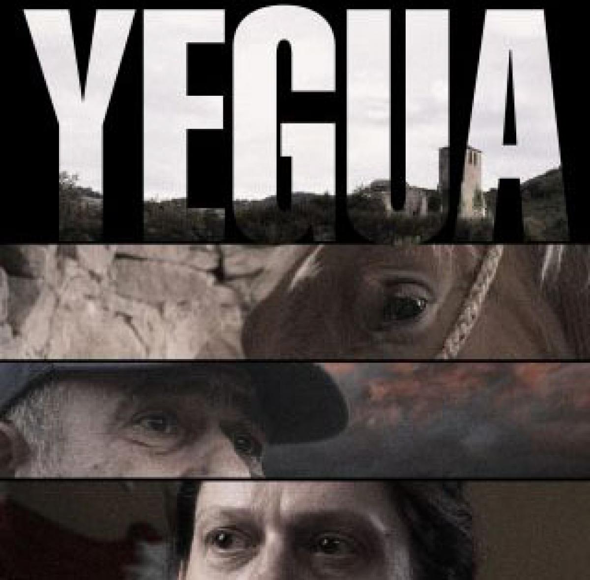 Yegua.