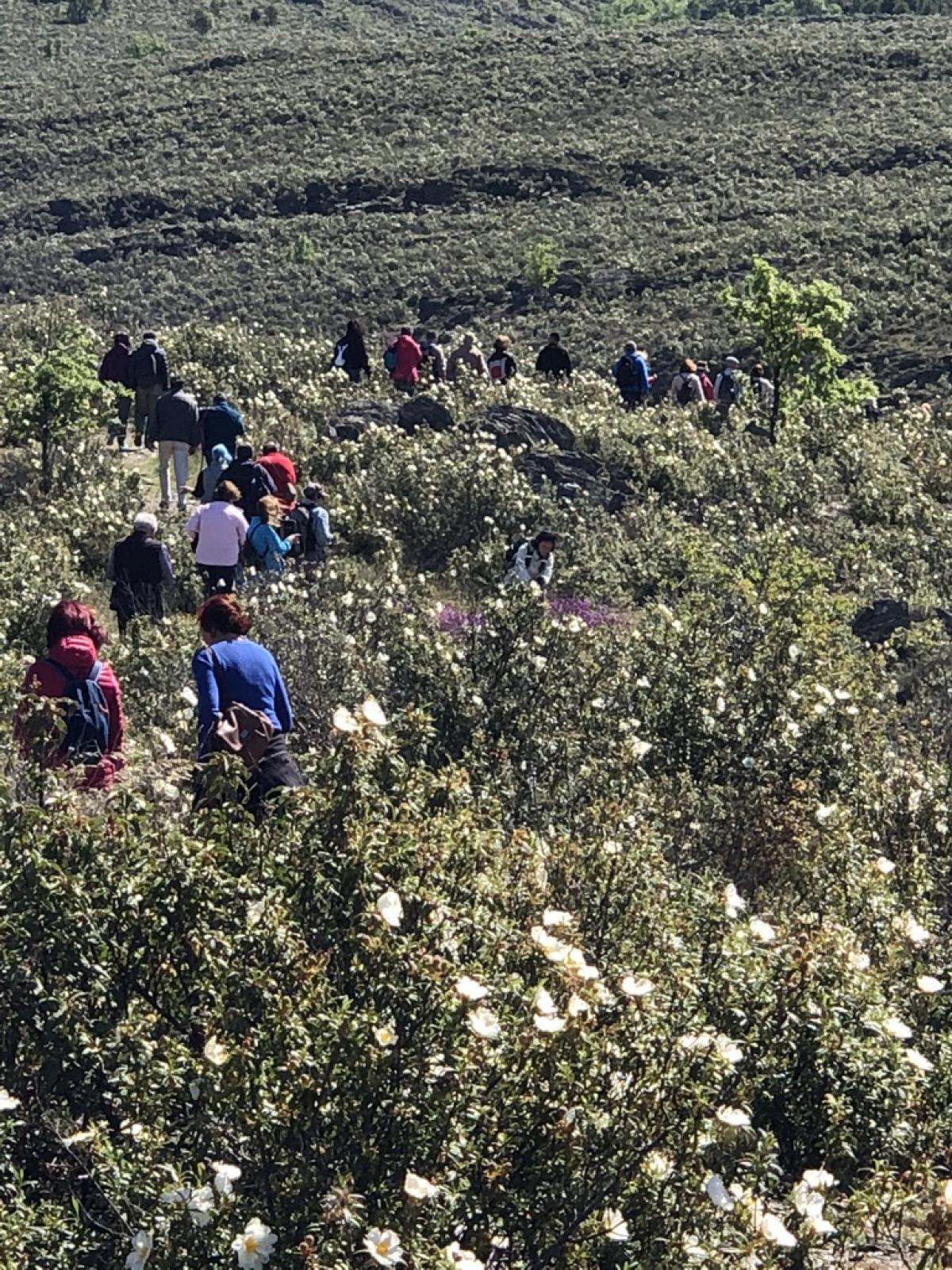 Ruta del Taller de Medio Ambiente por los Pueblos Negros