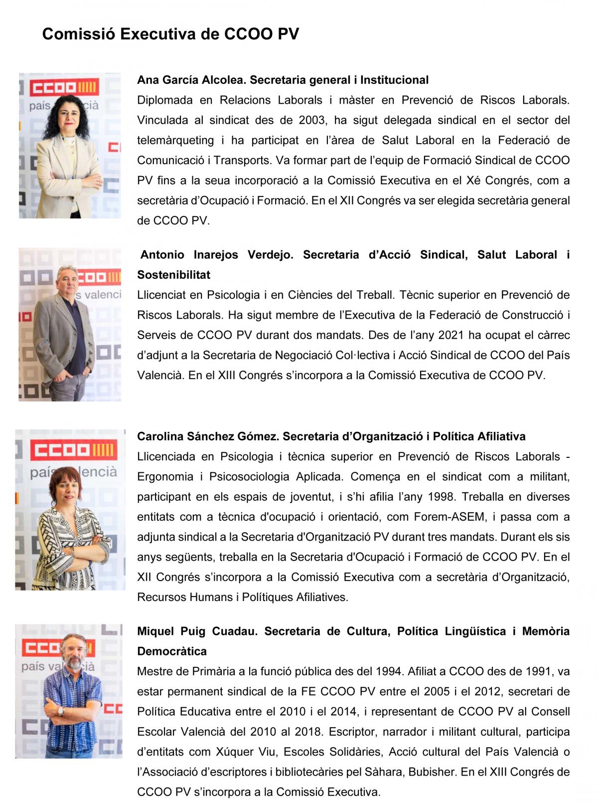Comissi Executiva CCOO PV