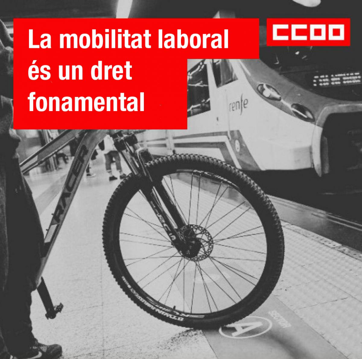 La mobilitat laboral s un dret fonamental.