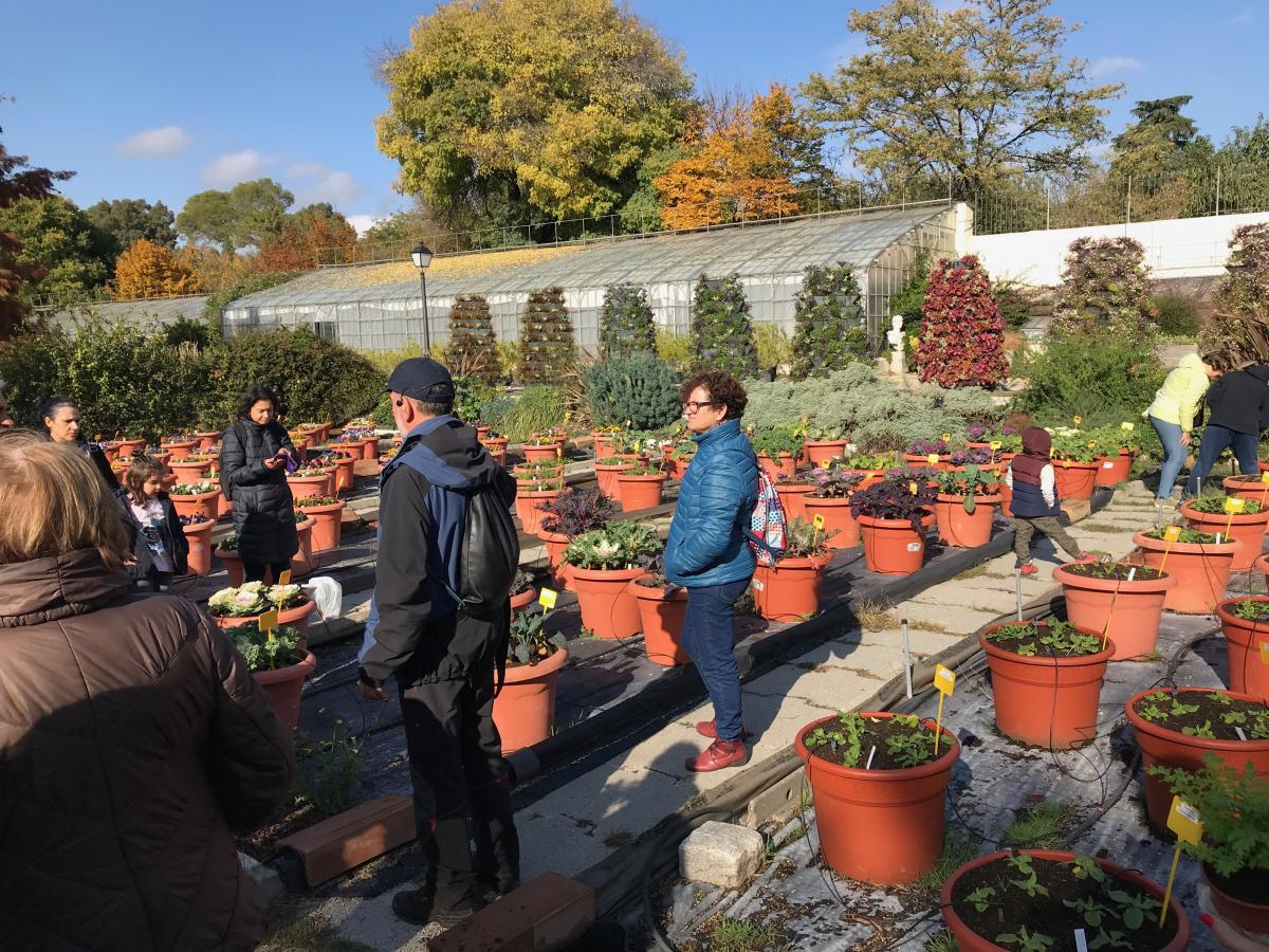 El Taller de Medio Ambiente visita los Viveros del Retiro y el Jardn Botnico