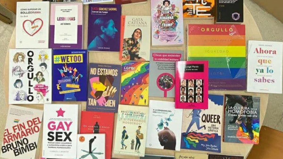 Llibres retirats als centres educatius de Castell.