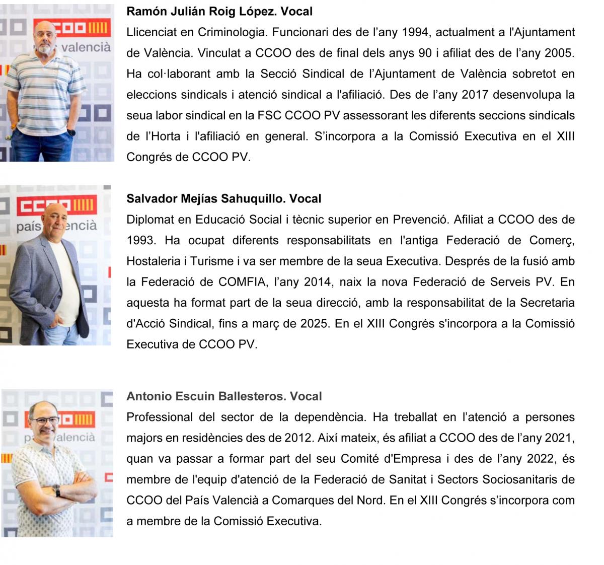 Comissi Executiva CCOO PV