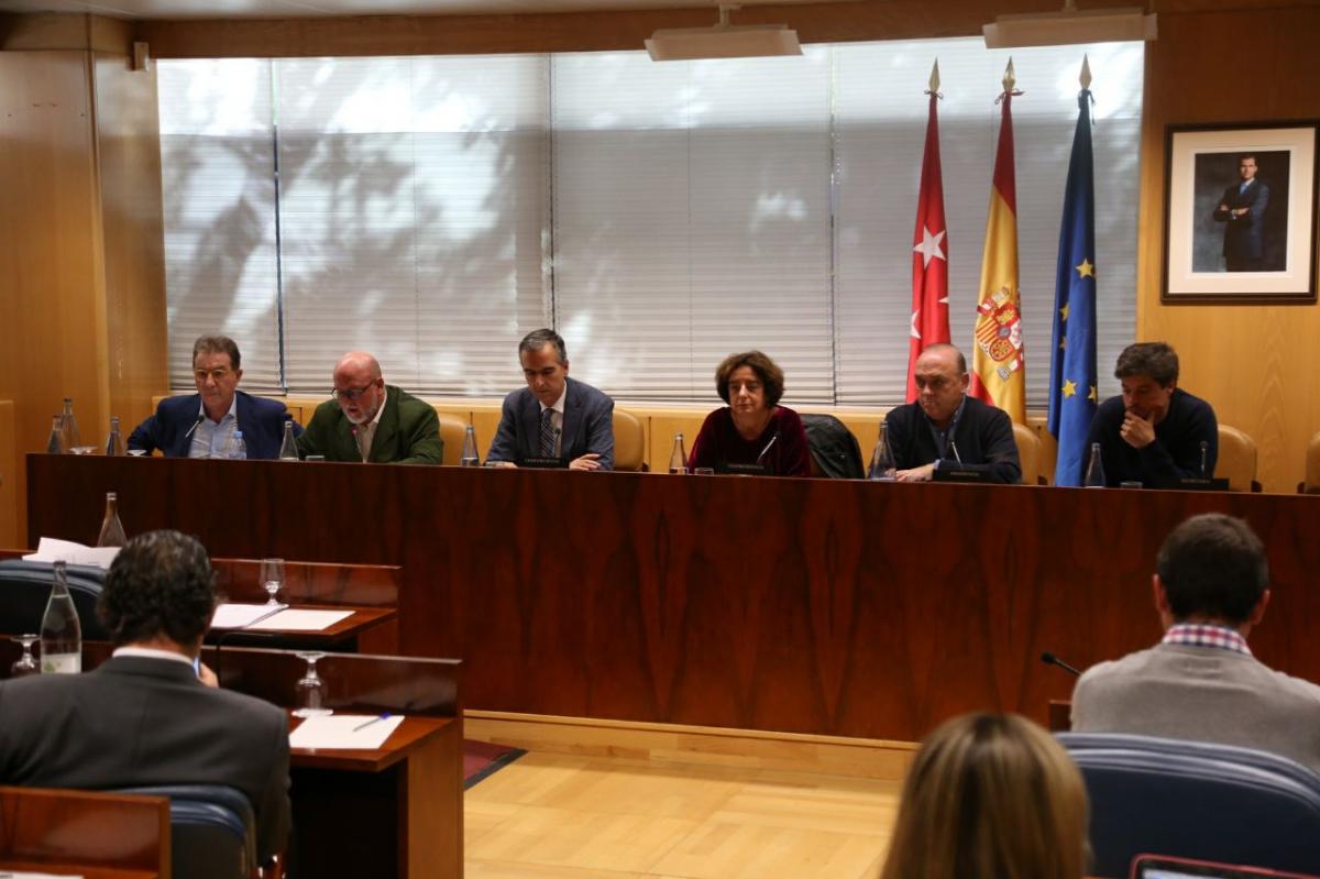 Jaime Cedrn comparece en la Asamblea de Madrid