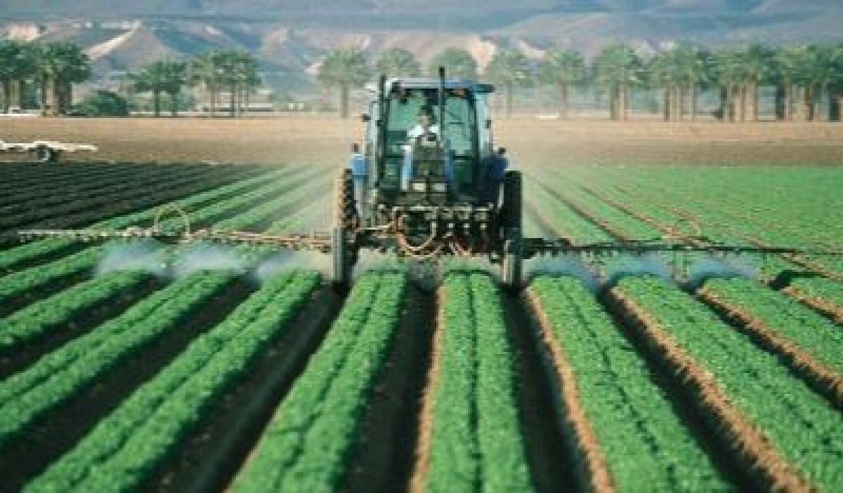 Agricultor tractor pequeo