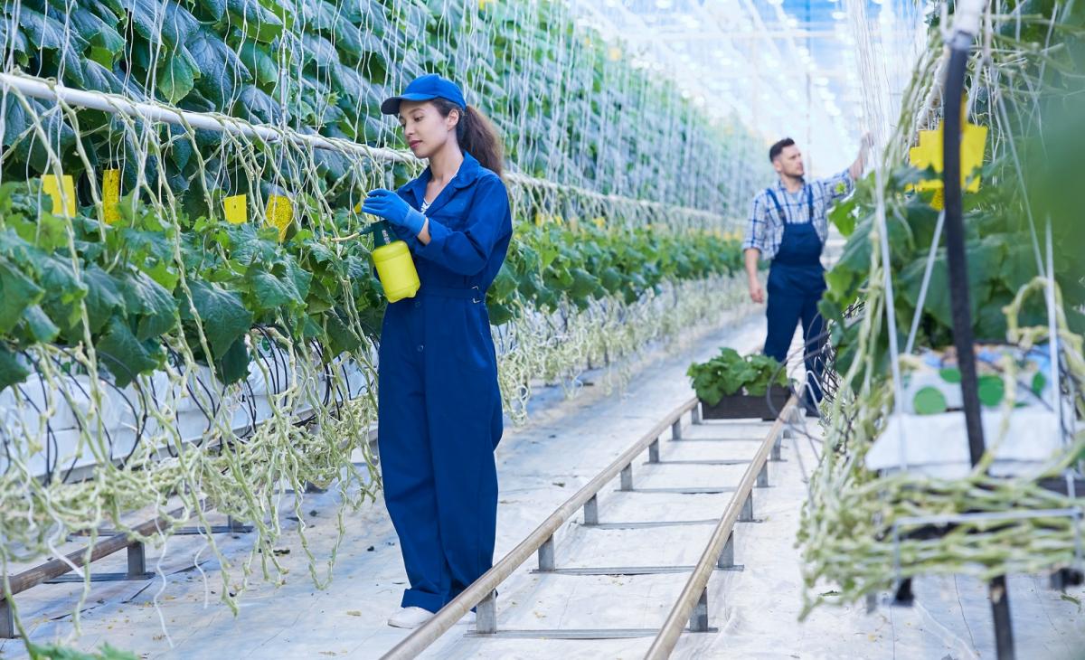 Andaluca registr el mayor volumen de desempleo agrario