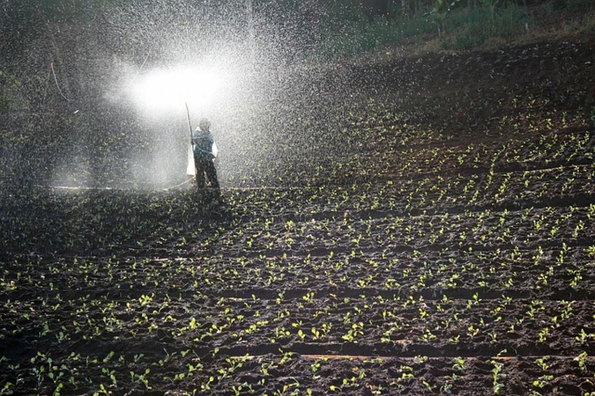 La tasa de paro del sector en este primer trimestre de 2019 es del 17,1%