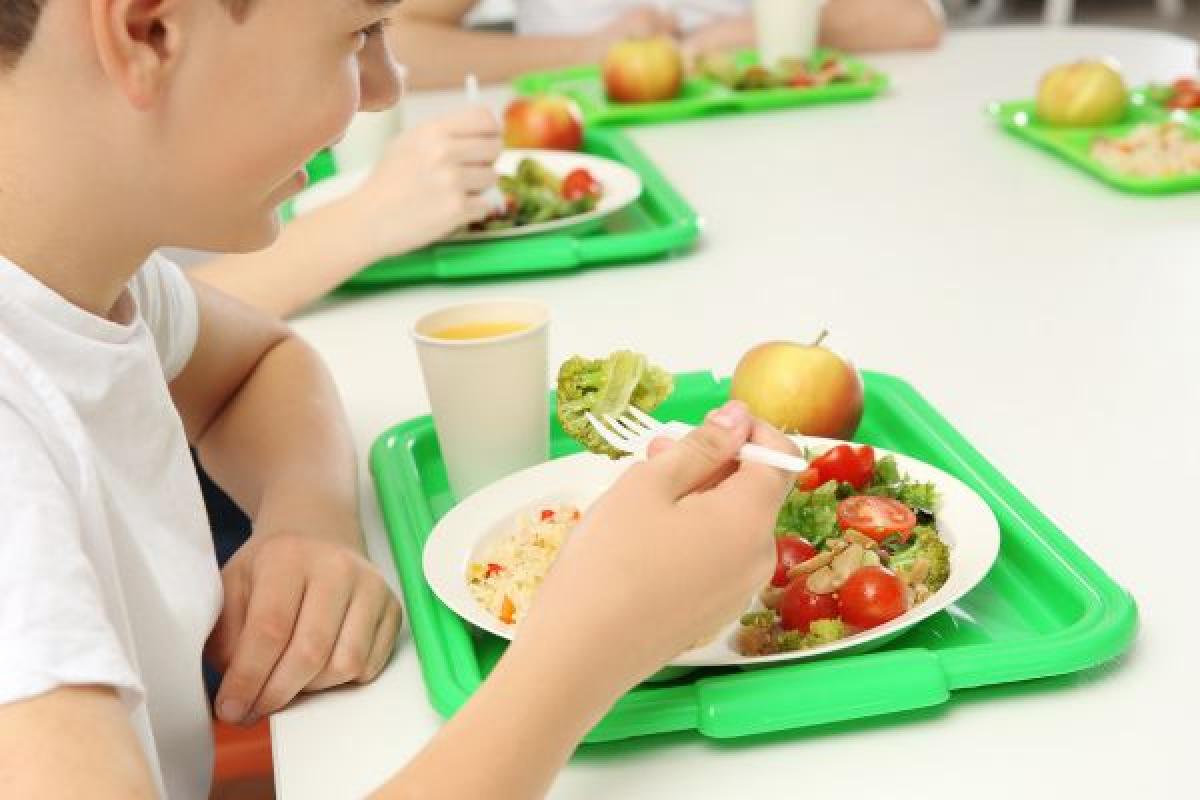 Hasta 40 comensales por cadamonitor/a de comedores escolares